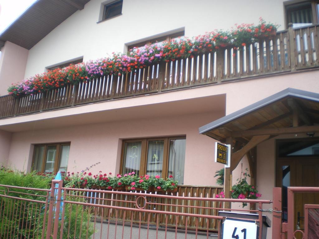 Gaestehaus Eva Apartment โนวาเลสนา ห้อง รูปภาพ